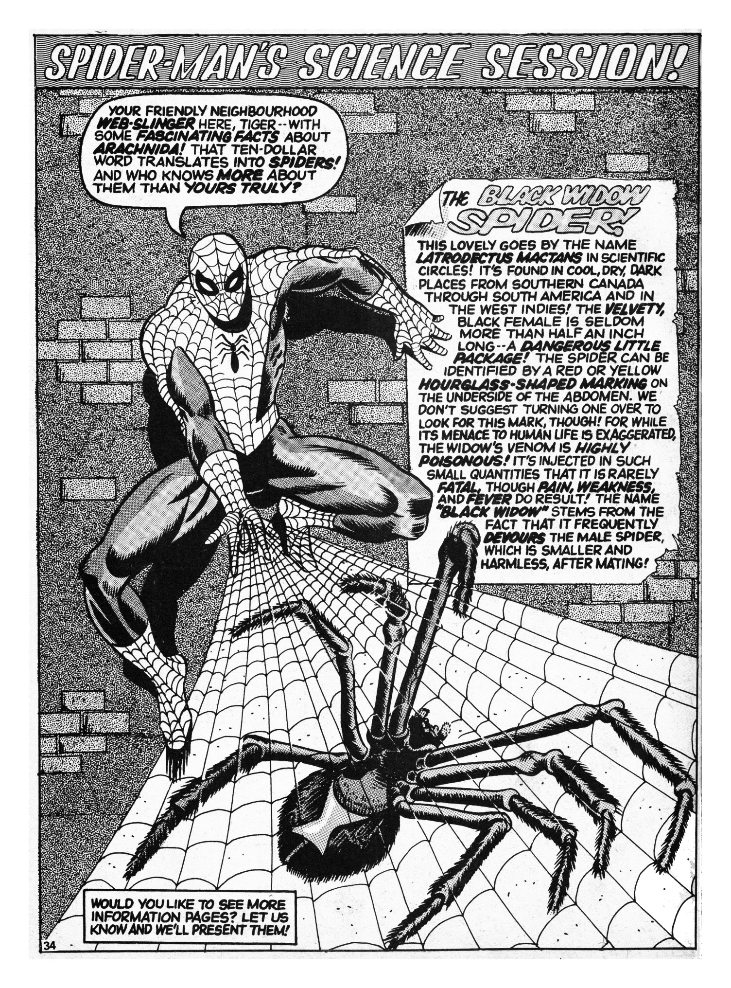 SpiderMan Comics Weekly Vol 1 5 Marvel Database FANDOM powered by