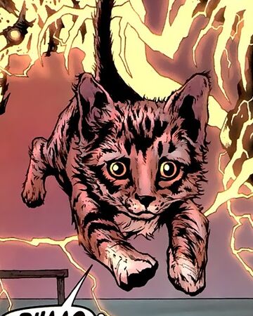 Kitten Pretend Mutant Earth 10710 Marvel Database Fandom
