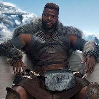 Nakia T Challa Was Murdered In A Ritual Combat M Baku This Is So