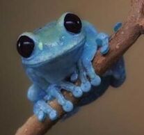 Blue-frog