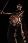 Skeleton Warrior