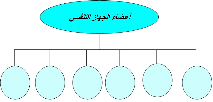 فارغة خريطة 8 مفاهيم أشكال خرائط