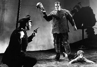 Son of Frankenstein (1939) | Mary Shelley Wiki | Fandom