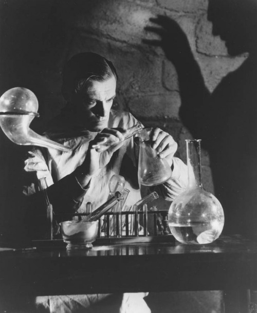 The Role Of Loneliness In Frankenstein The Role Of Loneliness In Frankenstein