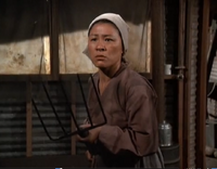 Mrs. Li (Oksun Li's mother) | Monster M*A*S*H | FANDOM powered by Wikia