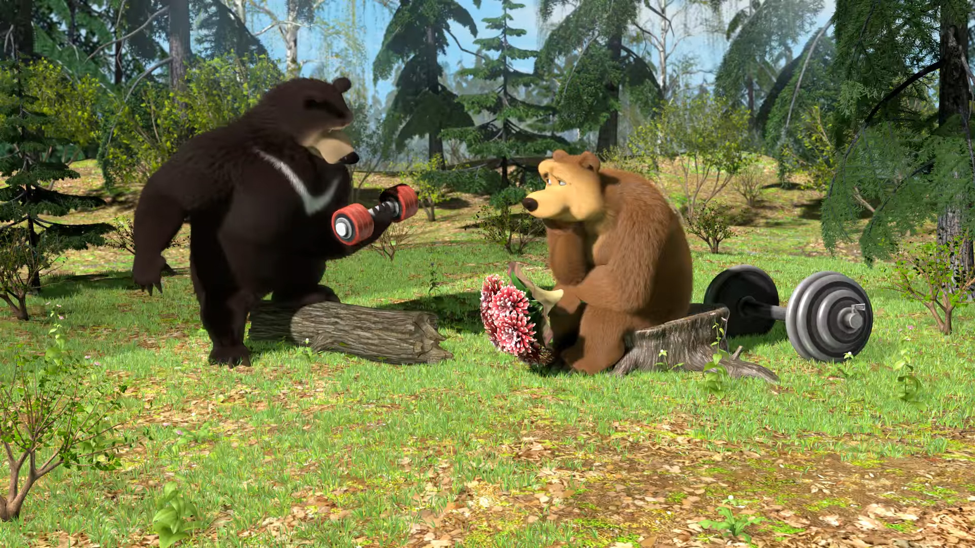 Короткие видео сюжеты. Маша и медведь Гималайский медведь. Маша и медведь Гималайский медведь и Медведица. Гималайский медведь из Маша и медведь. Гималайский медведь из мультсериала "Маша и медведь".