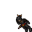 Zed