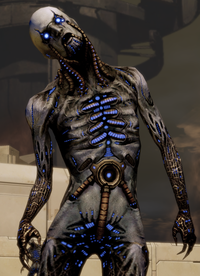 Husk