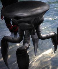 Crab