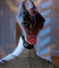 Me2maelon
