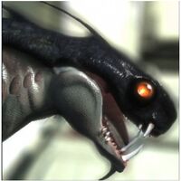 Varrens