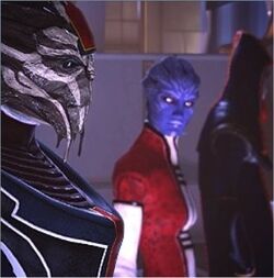 Citadel council