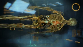 Project lazarus - shep skeleton (after)