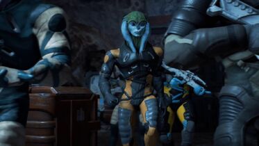 Roekaar Pic