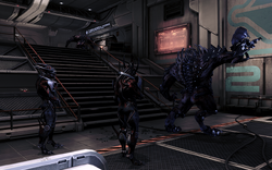 1024px-Mahavid - reaper scouting party