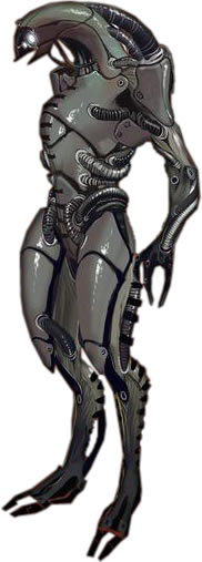 Geth normal