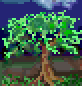 RELOAD-011-NATURE