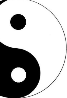 yin yang master