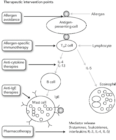 File:Medicalinterceptioninallergycascade.gif