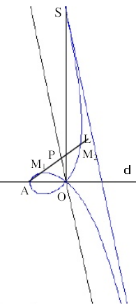Strofoida oblica