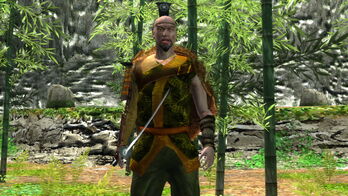 The Swordsman