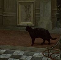 Deja Vu Matrix Wiki Fandom