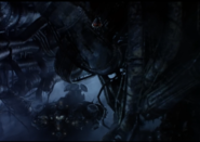 Death of the Vigilant-0