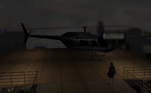 Helicoptero nicole horne