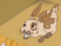 Conejito