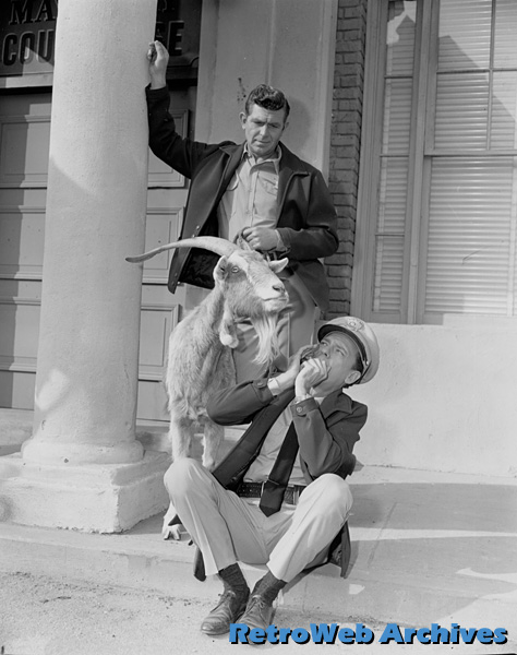 Barney's Harmonica | Mayberry Wiki | Fandom