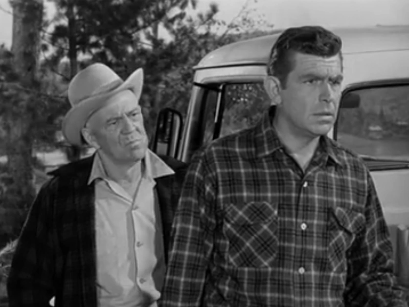 andy's english valet