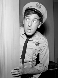 gomer pyle andy griffith show mayberry arrest characters deputy nabors jim wiki tv tumblr profile goober shazam citizen ten nations