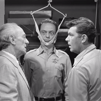 Barney S Physical Mayberry Wiki Fandom