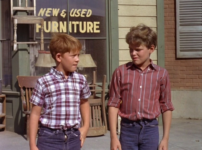 andy griffith show opie's job