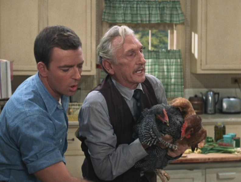 Mayberry R.F.D. (episode) Mayberry Wiki FANDOM powered by Wikia