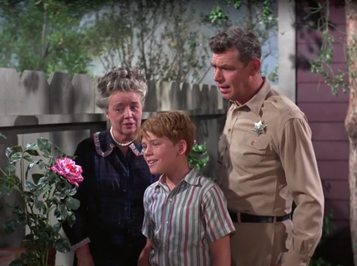 mayberry 2048 written in conji mayberry 2048 written in conji