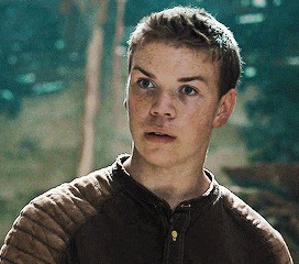 gally maze runner