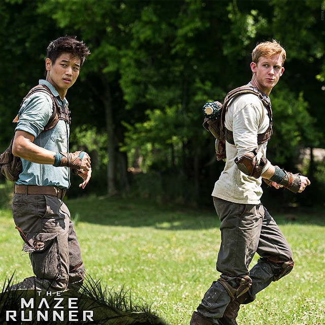 the maze runner files