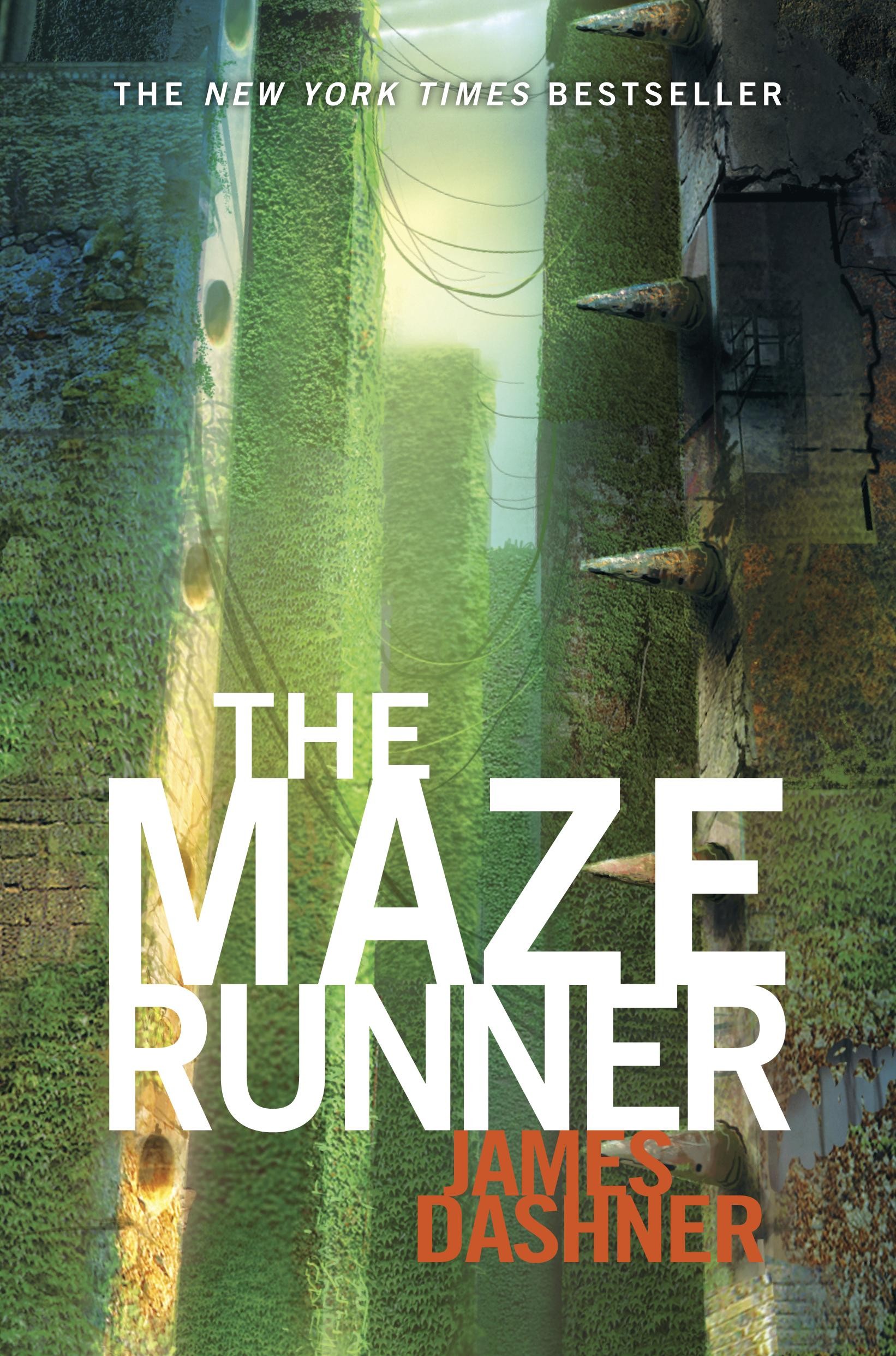 Image result for the maze runner book