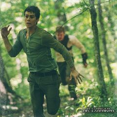 Thomas | The Maze Runner Wiki | FANDOM Powered By Wikia