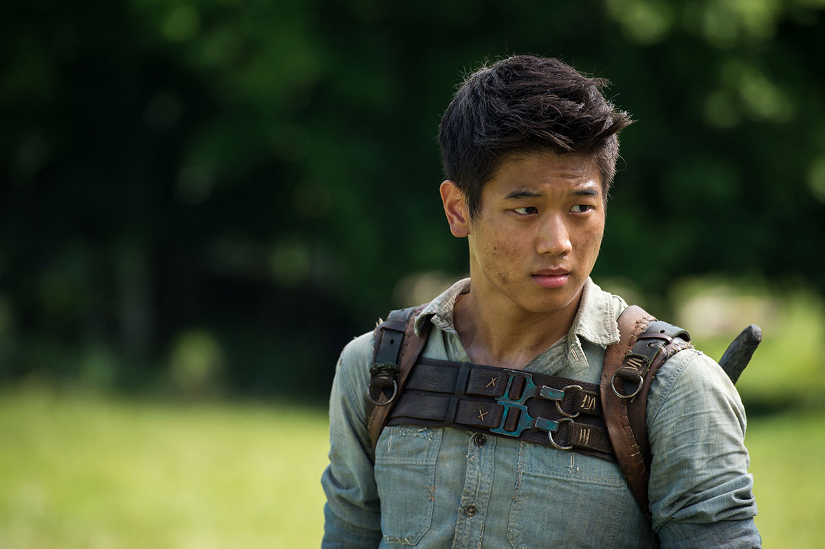 ผลการค้นหารูปภาพสำหรับ minho maze runner