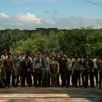 Gladers The Maze Runner Wiki Fandom