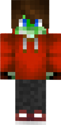 Lukas12137