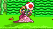 Toad in SSF2