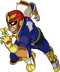 Captain Falcon