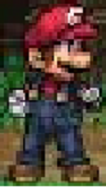 Mario new version