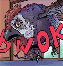 BWOK