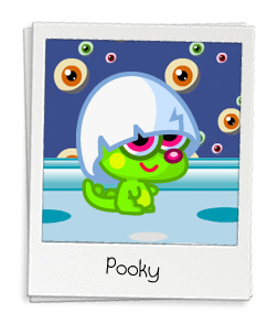 Pooky Snapped