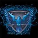 Runehawk logo
