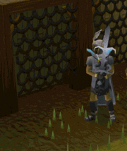 Agility course 2